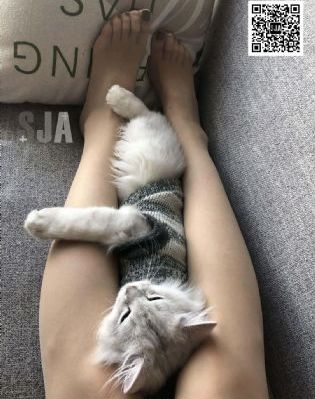 爆笑虫子
